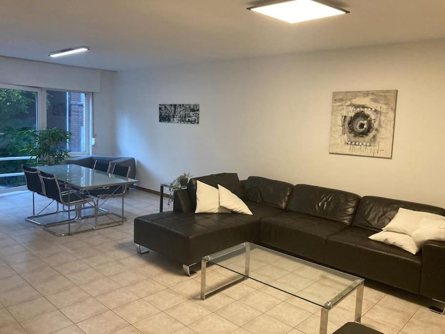Superbe Lumineux Et Spacieux Appartement